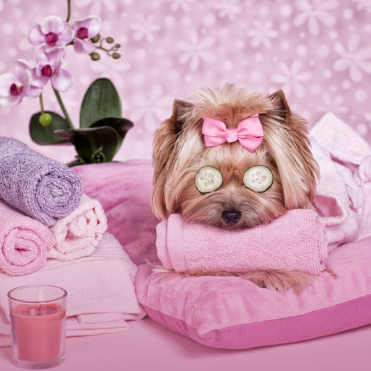 Indulge Your Pup in Luxury: Dog Mom Aesthetic Spa Day Essentials