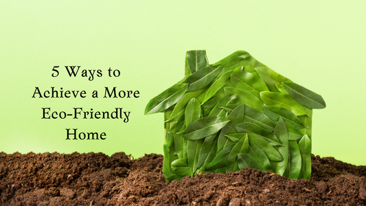 5 Ways to Achieve a More Eco-Friendly Home